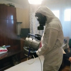 Дезинфекция от клопов в Алагире