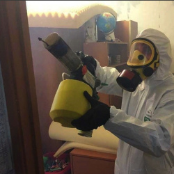 Уничтожение клопов в квартире. Алагир